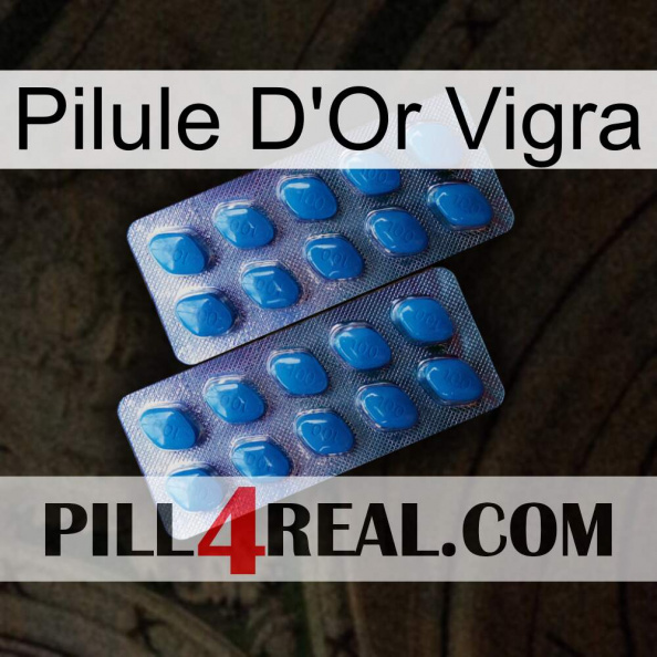 Vigra Gold Pill viagra2